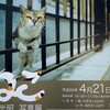 岩合光昭写真展「ねこ」＠佐野美術館