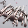 Eigshow Beauty Toxicated Series 15PCS Gentle Wind Professional Makeup Brush Kit Review