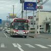 徳仙丈山「つつじバス」撮ったどー
