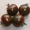 ブラックゼブラとは？｜濃厚な甘みが楽しめる縞模様の中玉トマト【固定種】