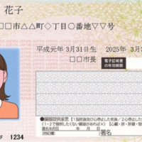  2028年新マイナンバーカード徹底解説：鉄壁の技術 vs. 人為的リスク。あなたの個人情報は本当に守られるのか？