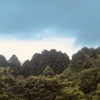 今朝の景色