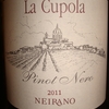 La Cupola Pino Nero Neirano 2011