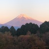今朝の景色