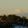 富士山(千葉港から)