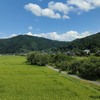 ゴールデンウィークにすることといえば？
