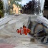 壊れた器械