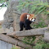 カメラ修行