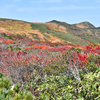 リベンジ・栗駒山紅葉。後編（2021年10月4日）