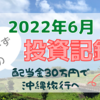 【2022年6月投資記録】配当金30万円で沖縄旅行を目指すブログ【QYLD・HDV 】