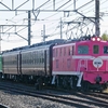 2月11日撮影　私鉄シリーズ　秩父鉄道本線　明戸～武川間　①【EL　REIWA 2　バレンタインエクスプレス】往路と秩父鉄道の色々な列車を撮る