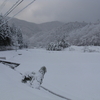 朝起きたら雪で一面が真っ白でした