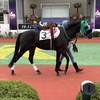 こちらの方が盛岡替わりを期待したが、、、全然前に進まずの９着