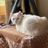 前に踏み出そう！