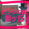 【なにこれ？！】巨大なクジラの背中に登るとそこには伝説のオセロ少年やピンクの街が広がっていた！【県北アート～鯨ヶ丘～】