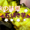 【ホックホク】つくばで異常にとろっとろの焼き芋を発見！【つくば石焼芋】