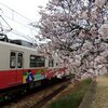 電車と桜