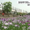 玉名市で『高瀬裏川花しょうぶまつり』多くの人で賑わう【熊本】    