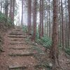 千鳥山（ 262ｍ 岐阜市 ）～ 長良川展望台