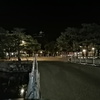 【モノ】【日記】Garmin Forerunner165Jレビューその２（at高知市）