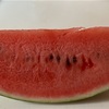 朝と昼は頑張るから夜は食べに行かない？