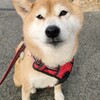 年末