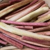 乾燥する季節