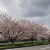 川口市の記憶…