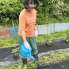 雨上がりの夕方