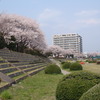 令和２年（2020年）の鹿沼花火大会は中止に！！