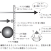 【雑談】手洗い・うがいをしっかりと！