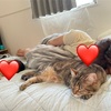 ベッドでうんちをするのがやめられないきなこもち… 後編