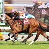 桜花賞馬エンブロイダリーがオークスは鞍上ルメールで決定