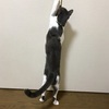 猫とクローゼット