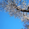 ４月の目次　卯月　〜木の芽時のジンクス〜