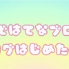 気になるサーバー選び！私ははてなブログを選びました