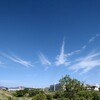 日曜日 ゴールデンウイーク…空を泳ぐ150匹の鯉のぼり､再び｡