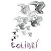 Nora Sarmoria, Victoria Zotalis: Colibri (2012)　奔流の如く溢れでるオト