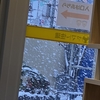 初雪でした！⛄