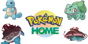 ポケモン サンムーン 序盤 中盤のコツ 注意点まとめ 初心者 中級者向け ポケモンスイッチ攻略press