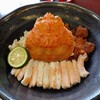 越前海岸でせいこ丼〈魚屋の喰い処まつ田〉