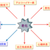 じじぃの「夢の長寿薬・ラパマイシンの抗がん作用！やわらかな生命」