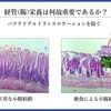 栄養管理を科学する