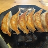 栃木 Vol.21 ＜宇都宮のランチ・オリオン餃子＞