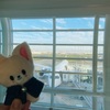 シドニー旅行1日目〜移動編〜withカンタス航空