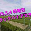 2025,5,4 日曜日 トラックバイアス予想 (東京競馬場　京都競馬場　新潟競馬場)