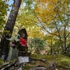 竹林寺の紅葉　2024.12.5