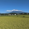 今朝の富士山（20240817）