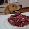 愛犬に鹿肉をあげないともったいないその理由とは