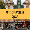 オランダ生活Q&A｜よくある質問をまとめました（交流・自転車・観光•子育て）